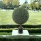 2.5ft UV Boxwood Ball Topiary Tree in Black Planter Pot by Floral Home&#xAE;